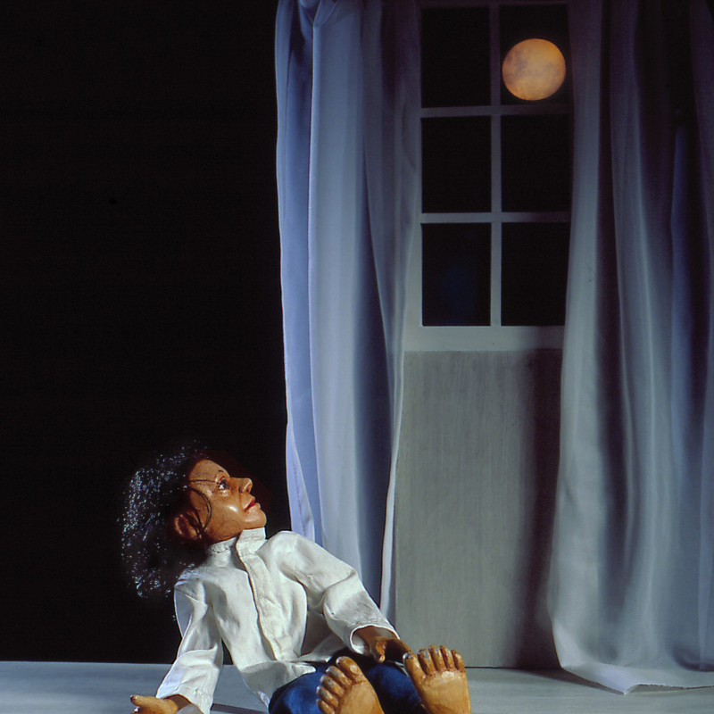 Wolfsjunge mit Mond aus DER WOLFSJUNGE, Foto: &copy; Rainer Gottschalck